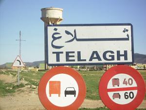TELAGH ENTREE 331